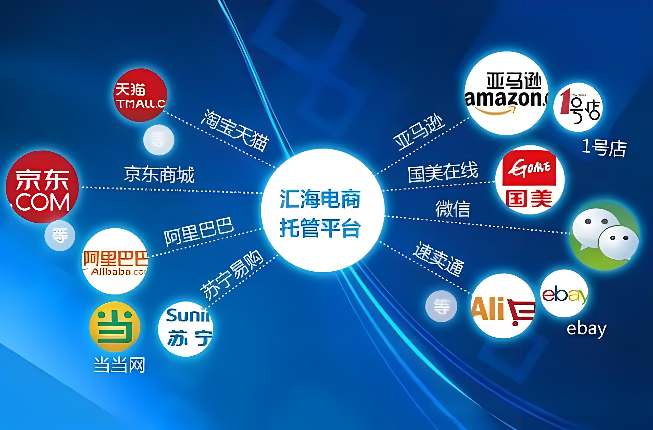 重磅！2024中国十大电商代运营公司排名出炉(附全榜单)